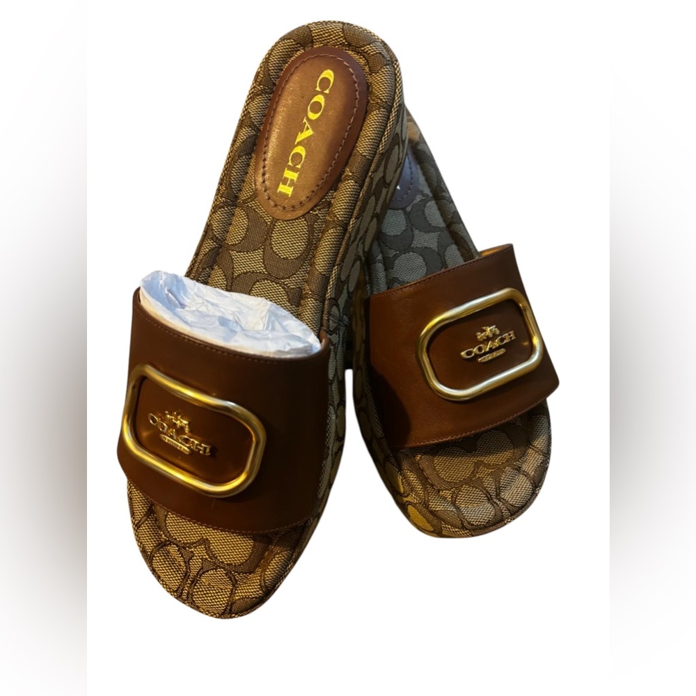 Coach 8.5 platform slides